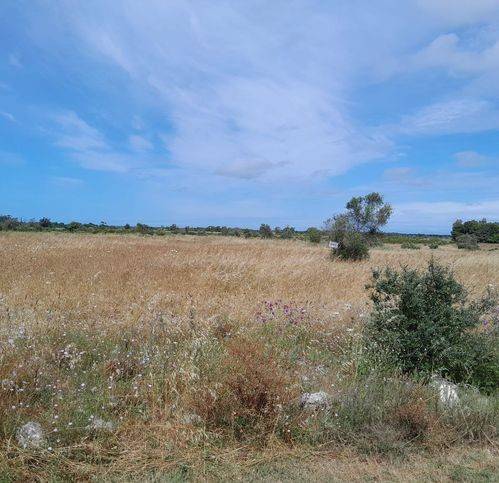 Terreno a Lecce in Via Fernando Stefanizzi - Foto 4