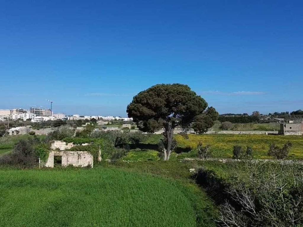 Terreno a Tricase in Strada Comunale Arena - Foto 5