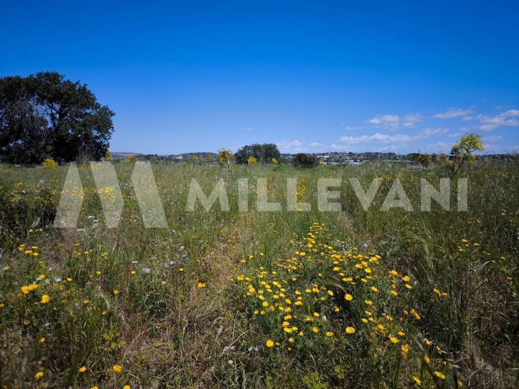 Terreno a Scicli in Contrada San Marco - Foto 3
