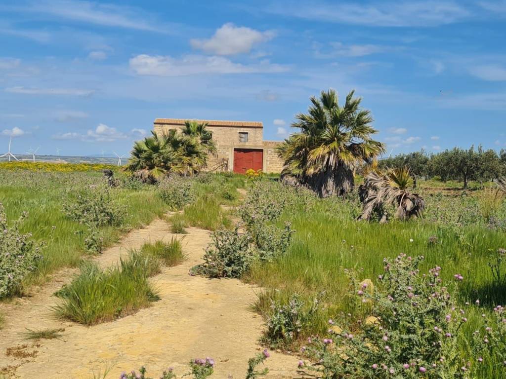 Terreno a Mazara del vallo in Via San Nicolò - Foto 2