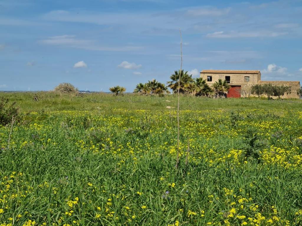 Terreno a Mazara del vallo in Via San Nicolò - Foto 3