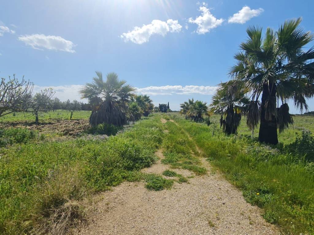 Terreno a Mazara del vallo in Via San Nicolò - Foto 4