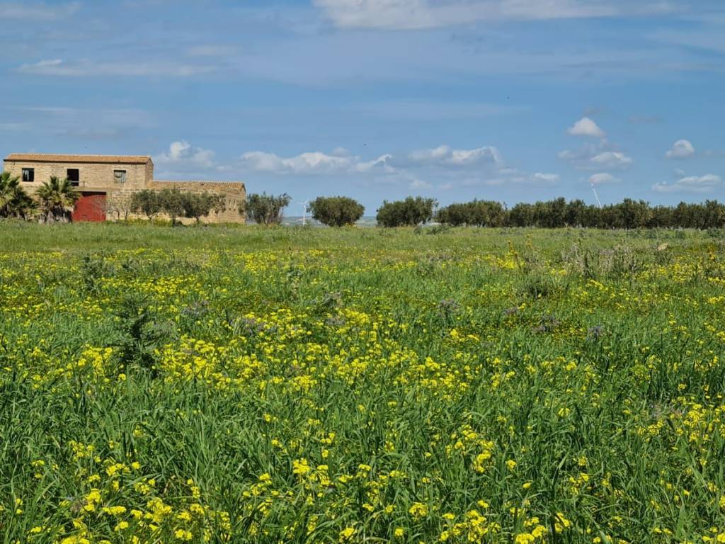 Terreno a Mazara del vallo in Via San Nicolò - Foto 5
