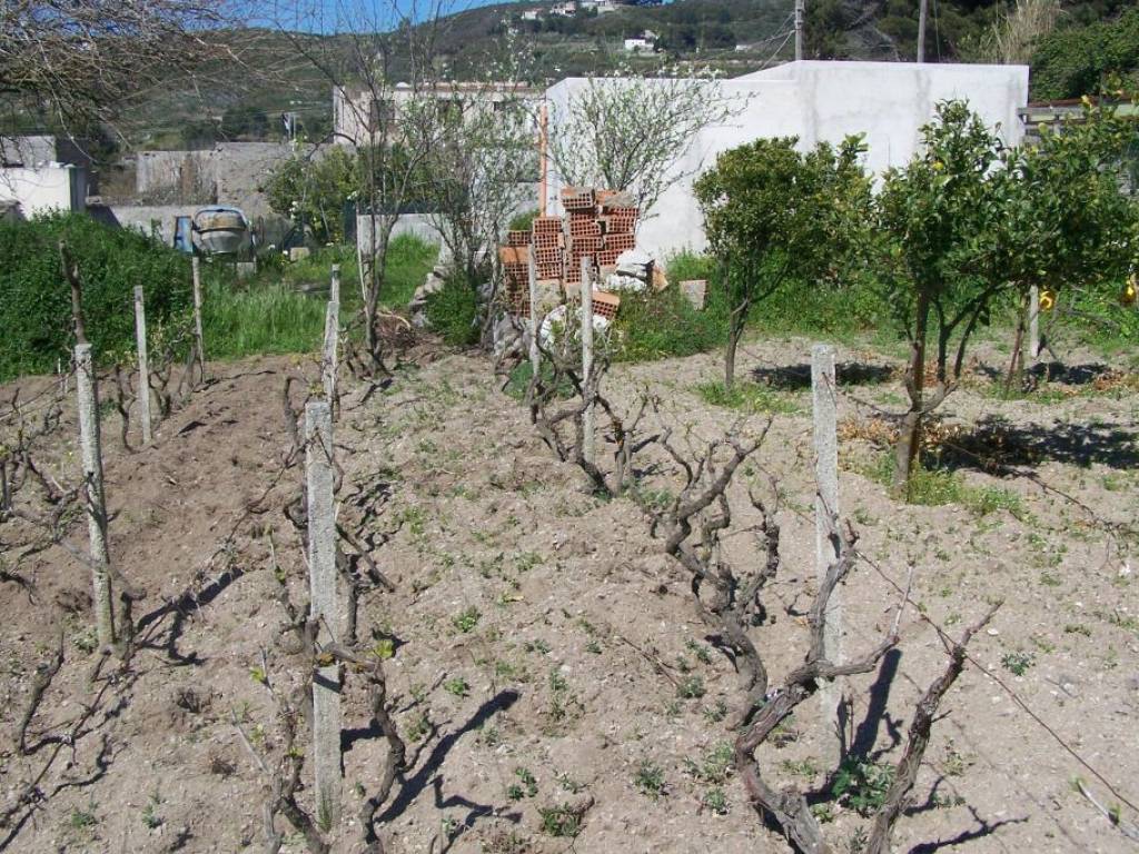 Rustico / casale a Lipari in SP179 - Foto 4