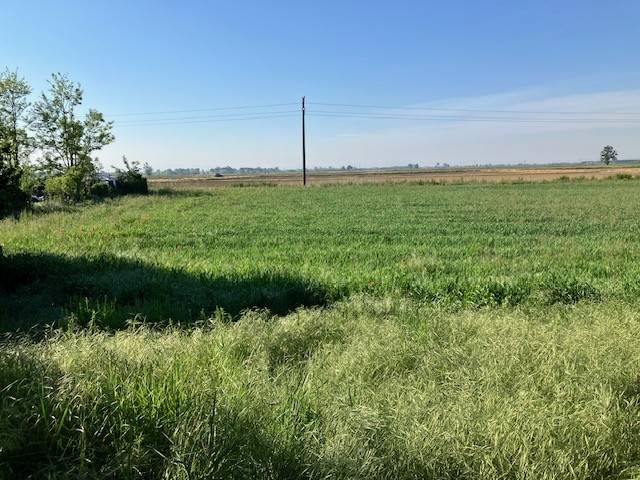 Casa indipendente a Galliavola in Via Villa Biscossi - Foto 3