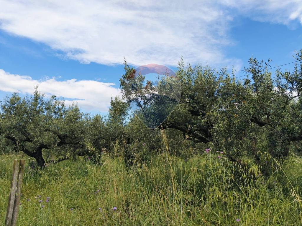 Terreno a Cepagatti in VIA VENTIGNANO - Foto 3