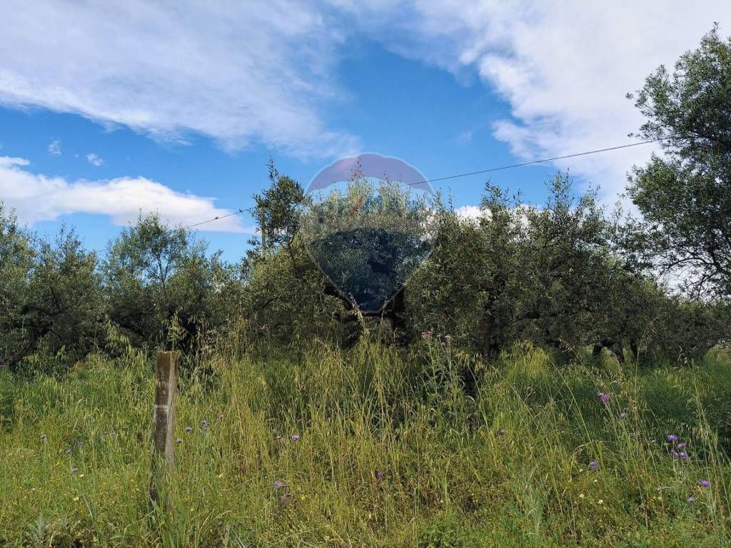 Terreno a Cepagatti in VIA VENTIGNANO - Foto 4