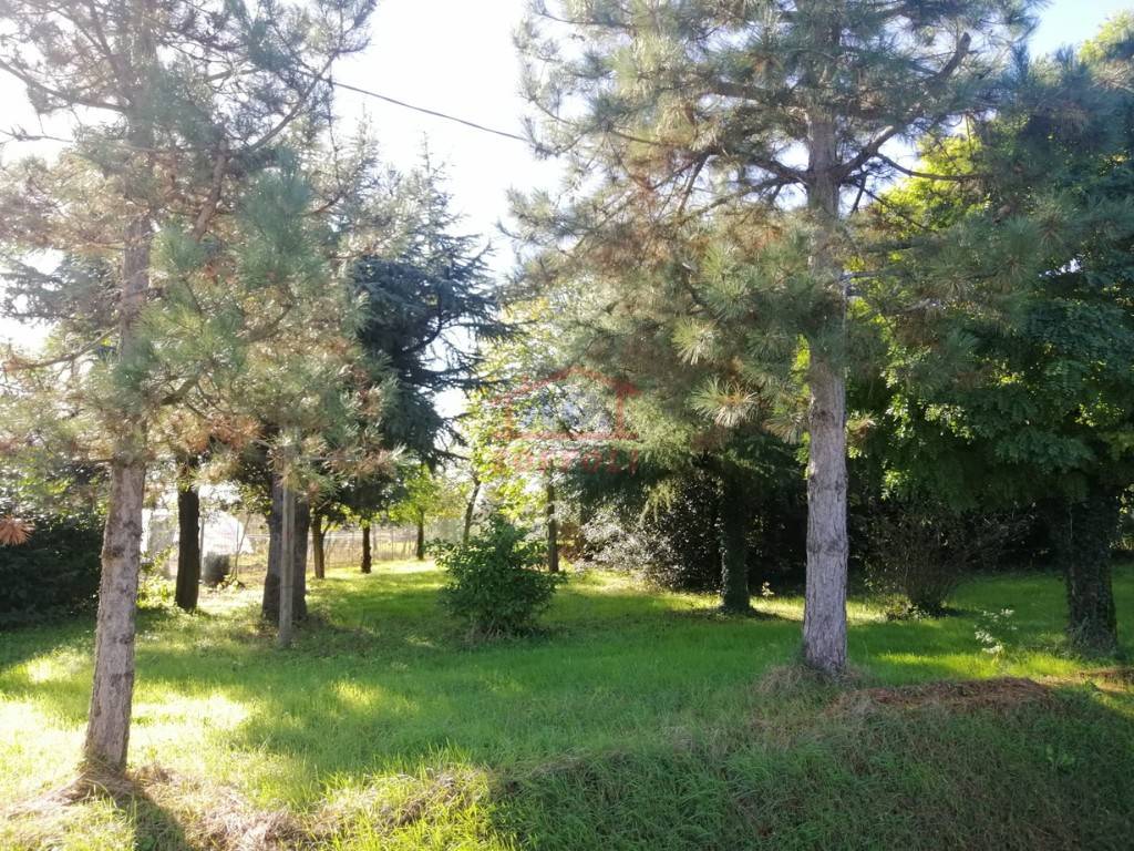 Villa a Bagnacavallo - Foto 3