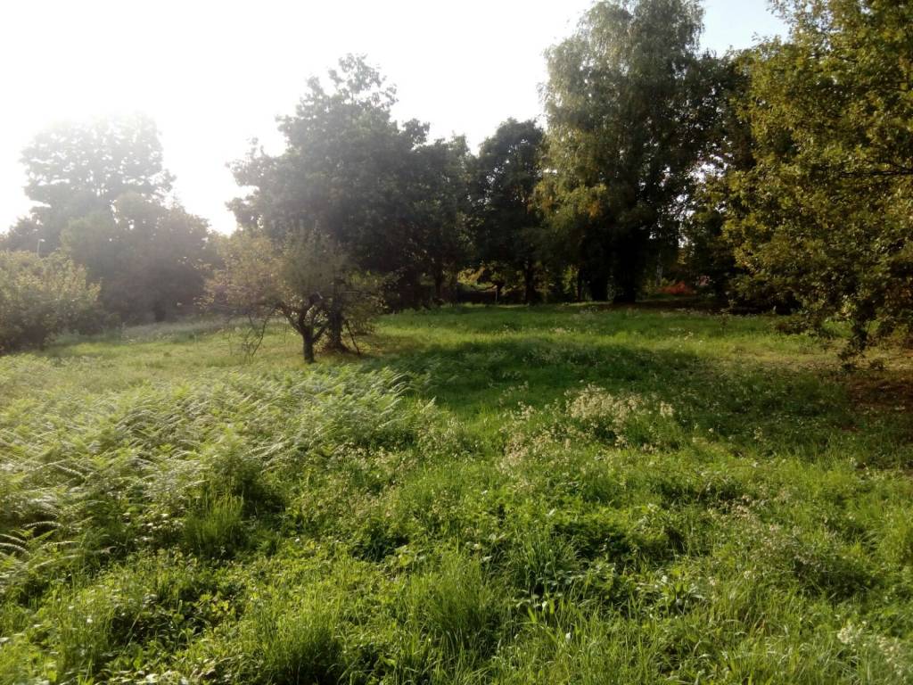 Terreno a Roppolo in Via al Castello - Foto 3