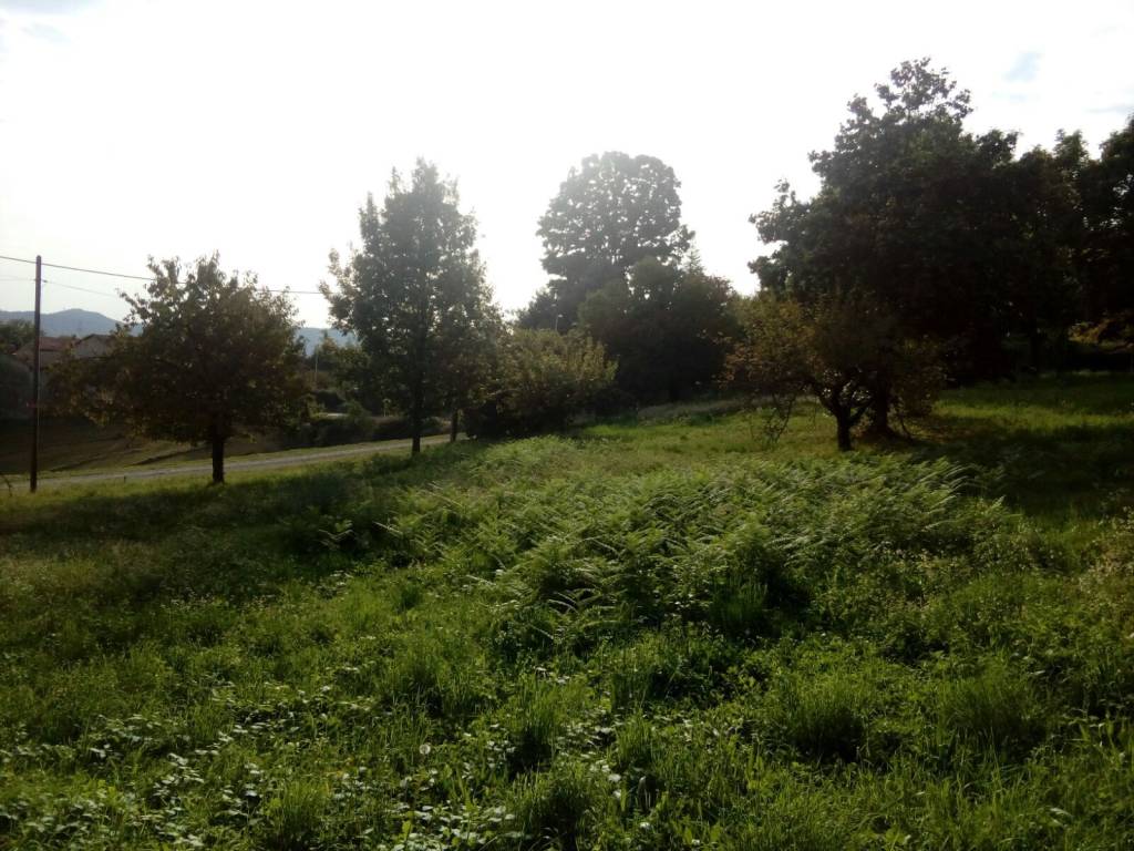 Terreno a Roppolo in Via al Castello - Foto 4