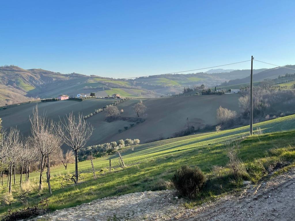 Casa indipendente a Castignano in contrada san venanzio - Foto 5