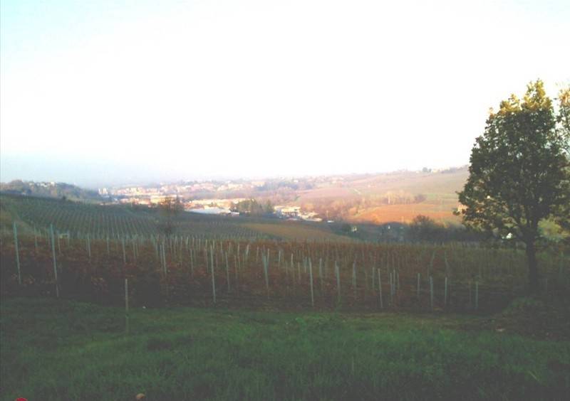 Terreno a Stradella - Foto 3