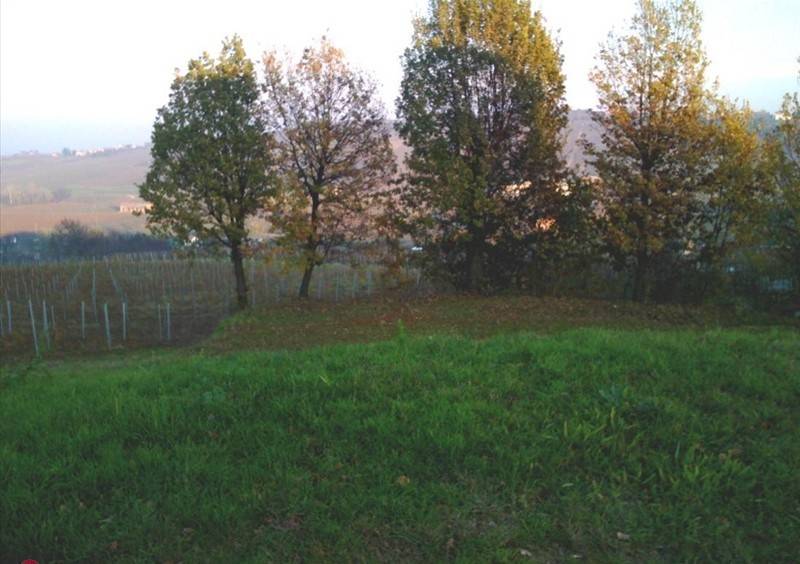 Terreno a Stradella - Foto 4