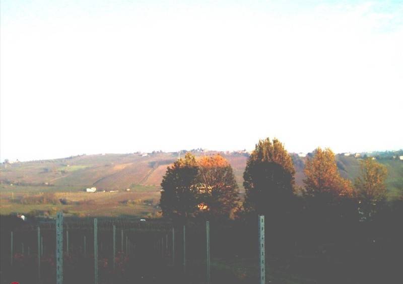 Terreno a Stradella - Foto 5