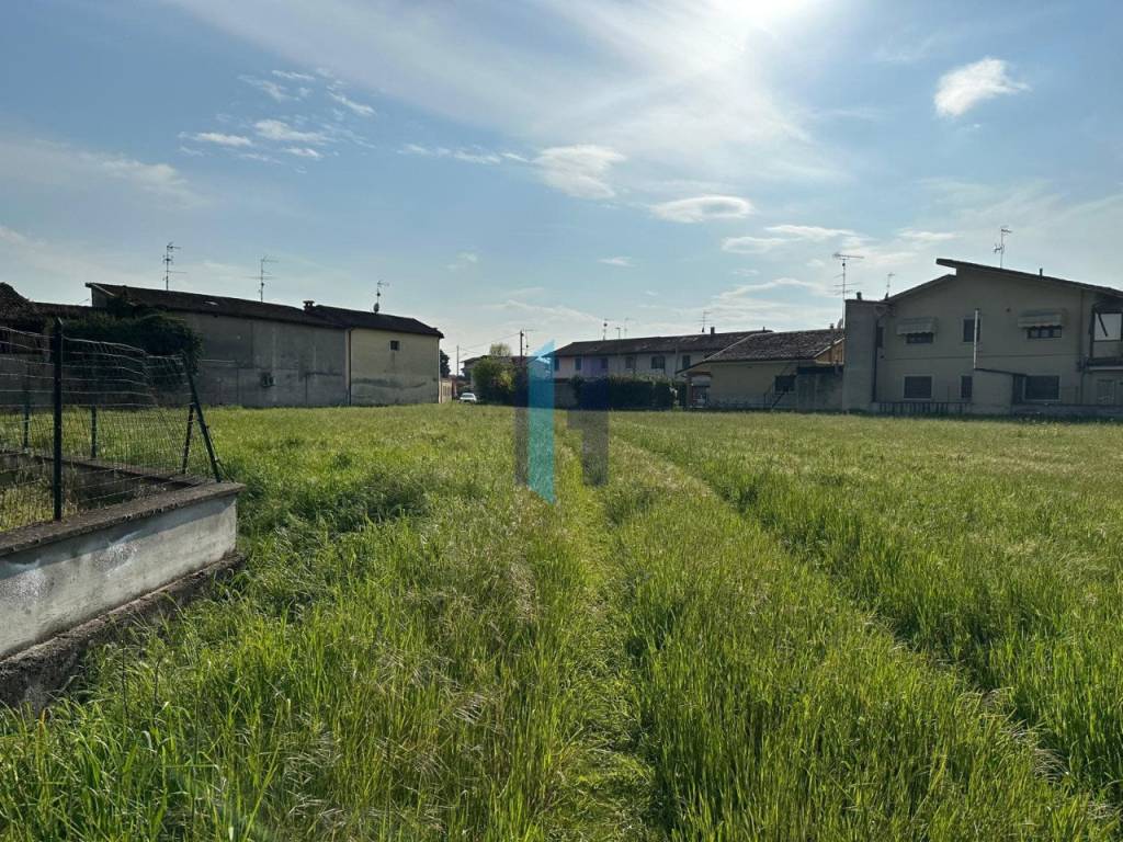 Terreno a Isorella in Via Visano - Foto 4