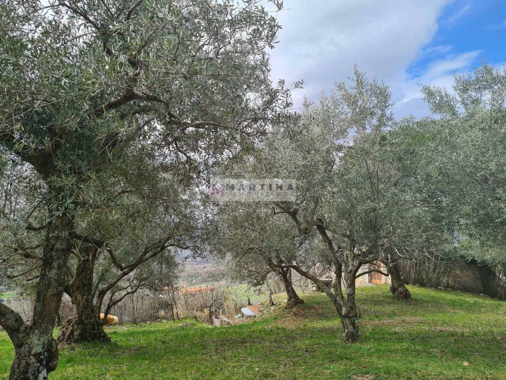 Rustico / casale a San donato val di comino in Via Vorga - Foto 4