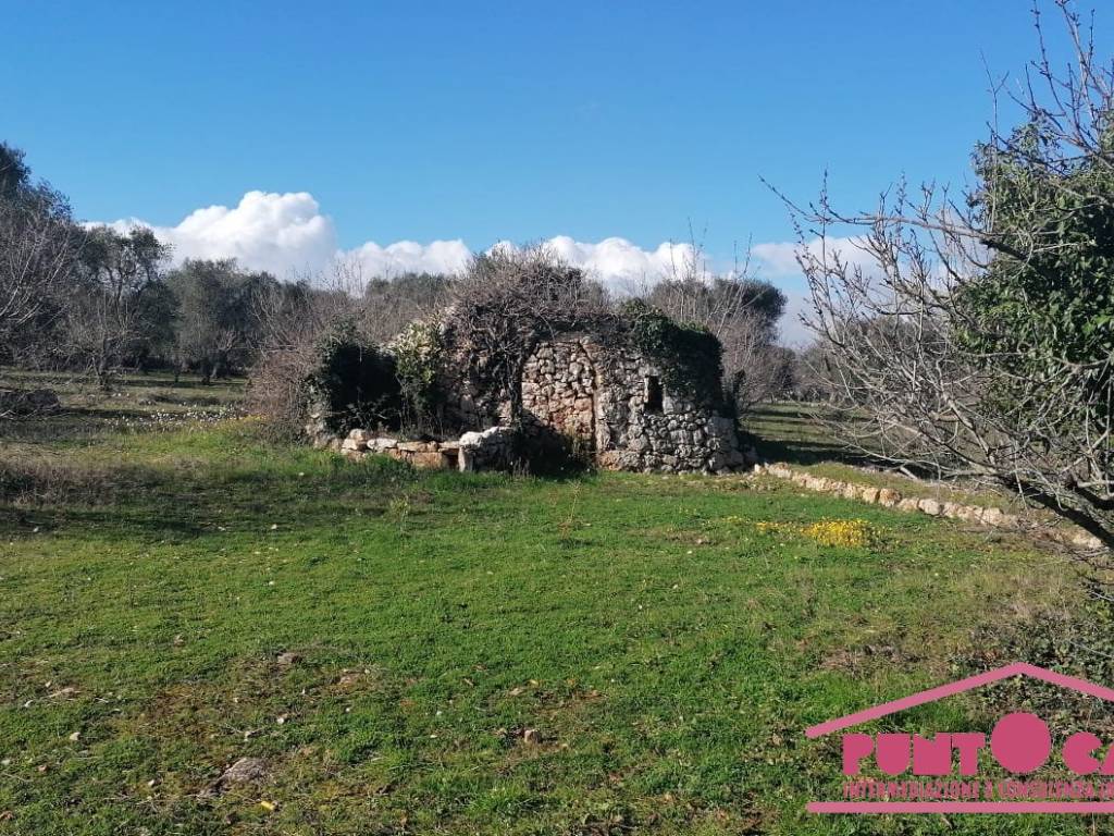 Rustico / casale a Ceglie messapica in Sp16 - Foto 2