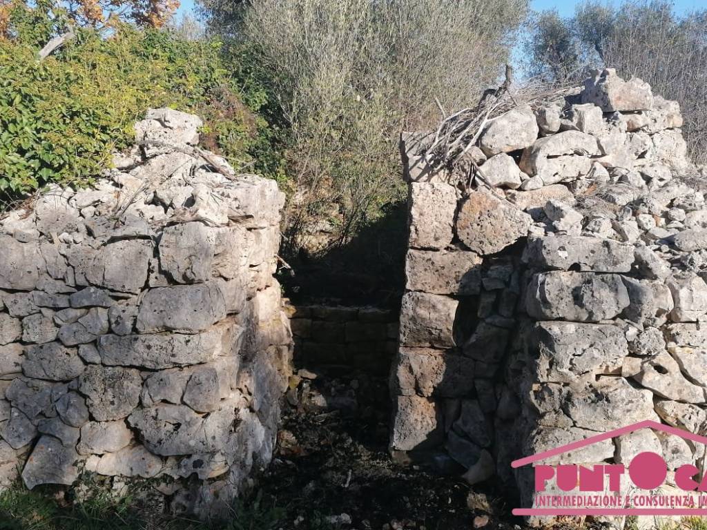 Rustico / casale a Ceglie messapica in Sp16 - Foto 5