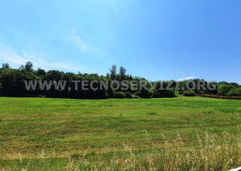 Terreno a Savignano sul panaro - Foto 4