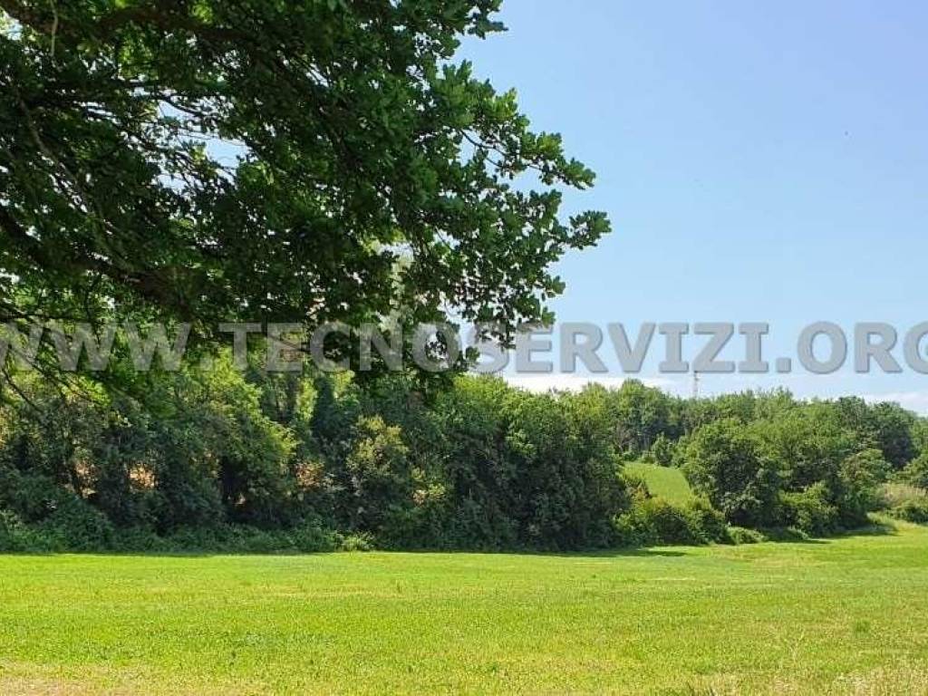 Terreno a Savignano sul panaro - Foto 5