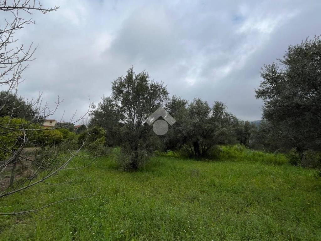 Terreno a Lamezia terme in Via Armando Scarpino - Foto 2