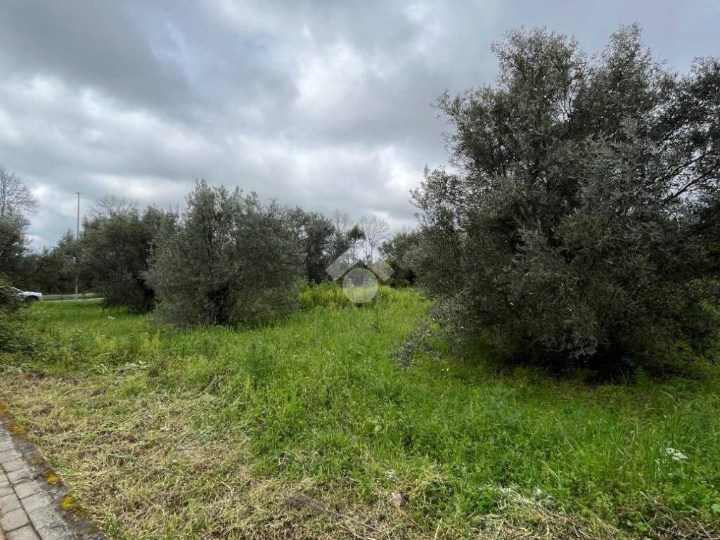 Terreno a Lamezia terme in Via Armando Scarpino - Foto 3