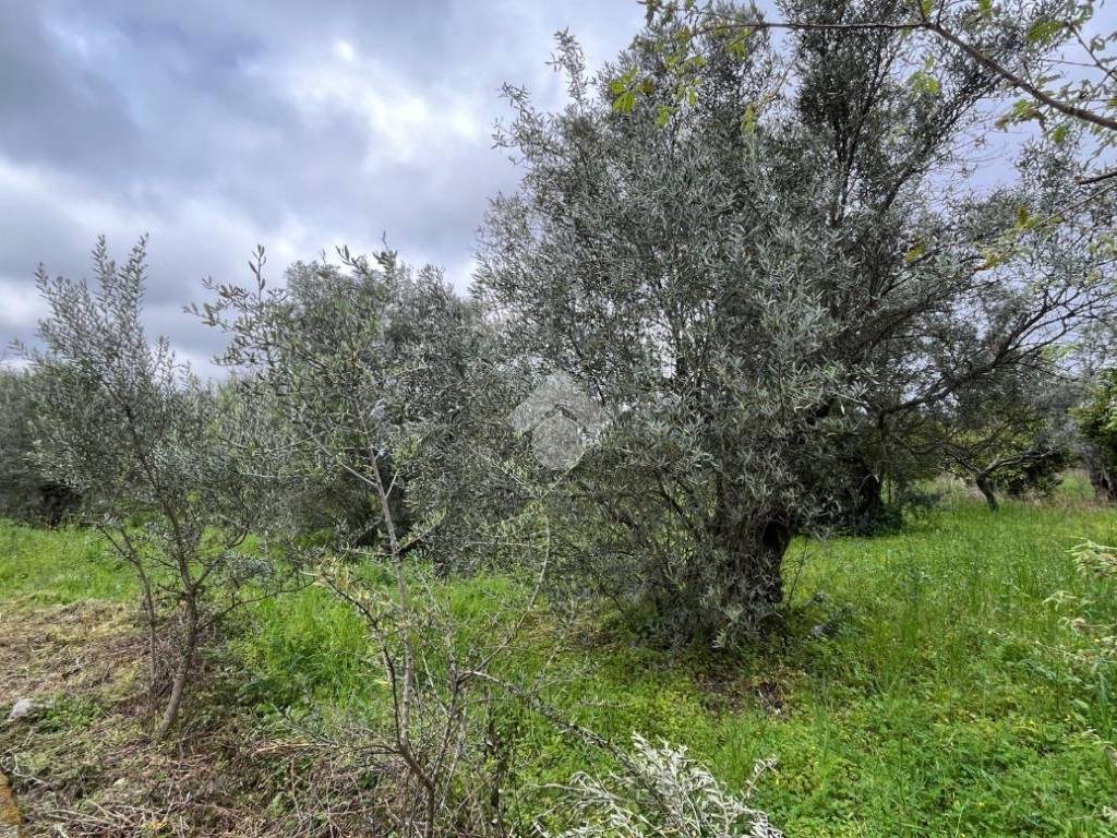 Terreno a Lamezia terme in Via Armando Scarpino - Foto 4