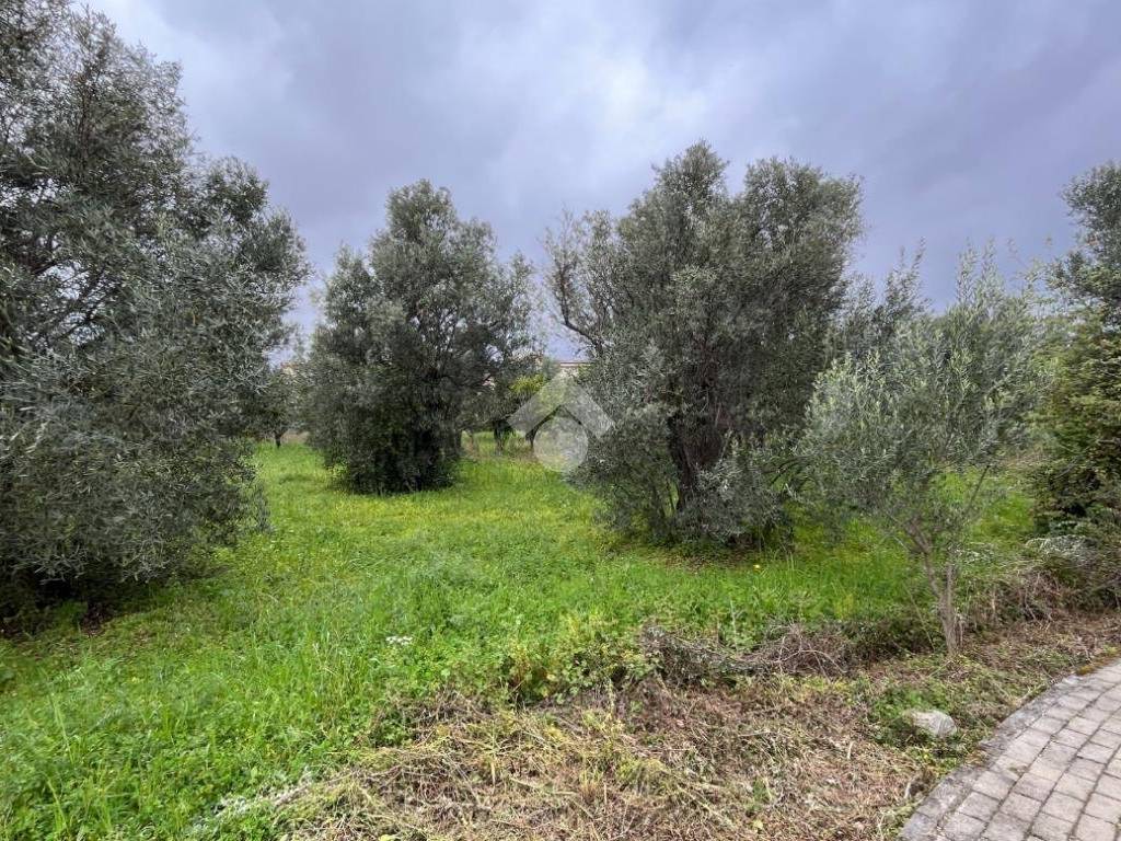 Terreno a Lamezia terme in Via Armando Scarpino - Foto 5