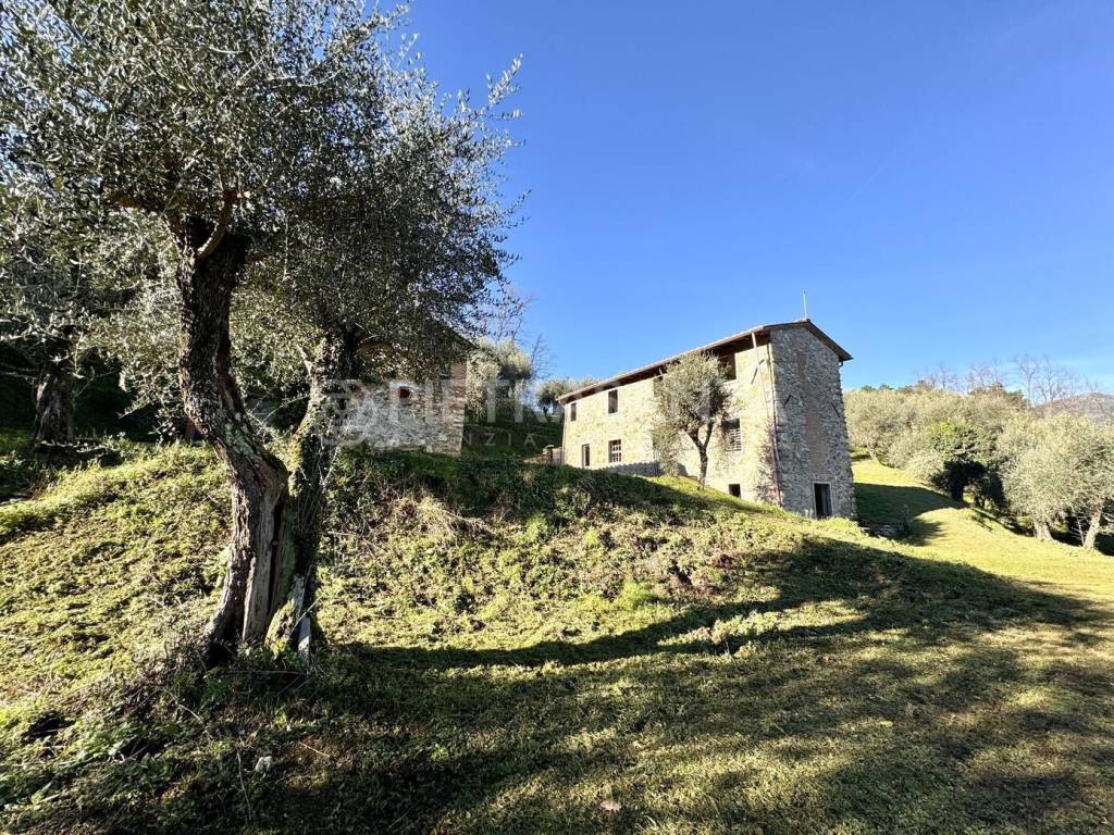 Rustico / casale a Massarosa in Via di Casesi, 717 - Foto 2