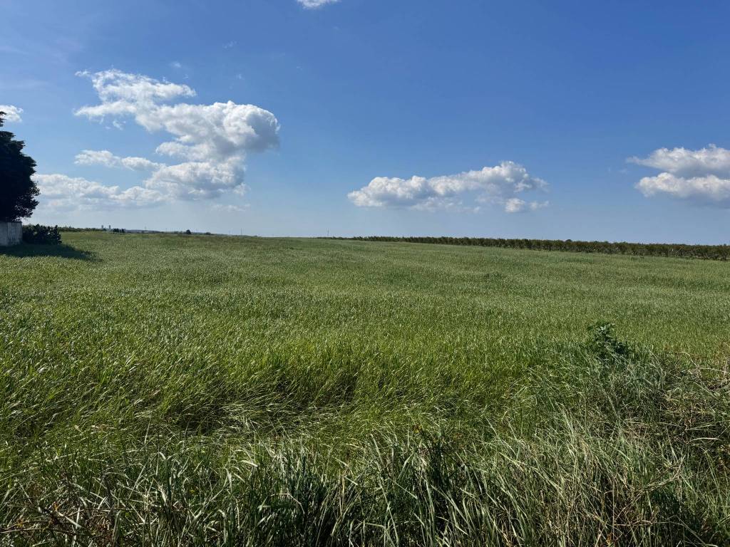 Villa a Veglie in strada poderale - Foto 4