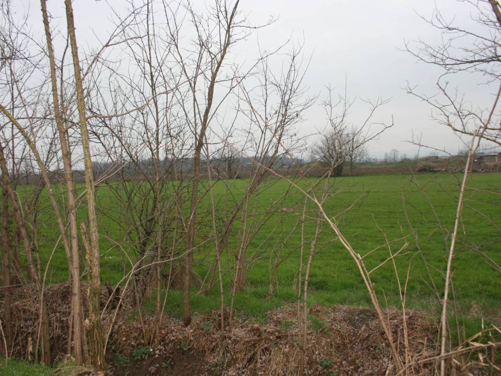 Terreno a Podenzano - Foto 2