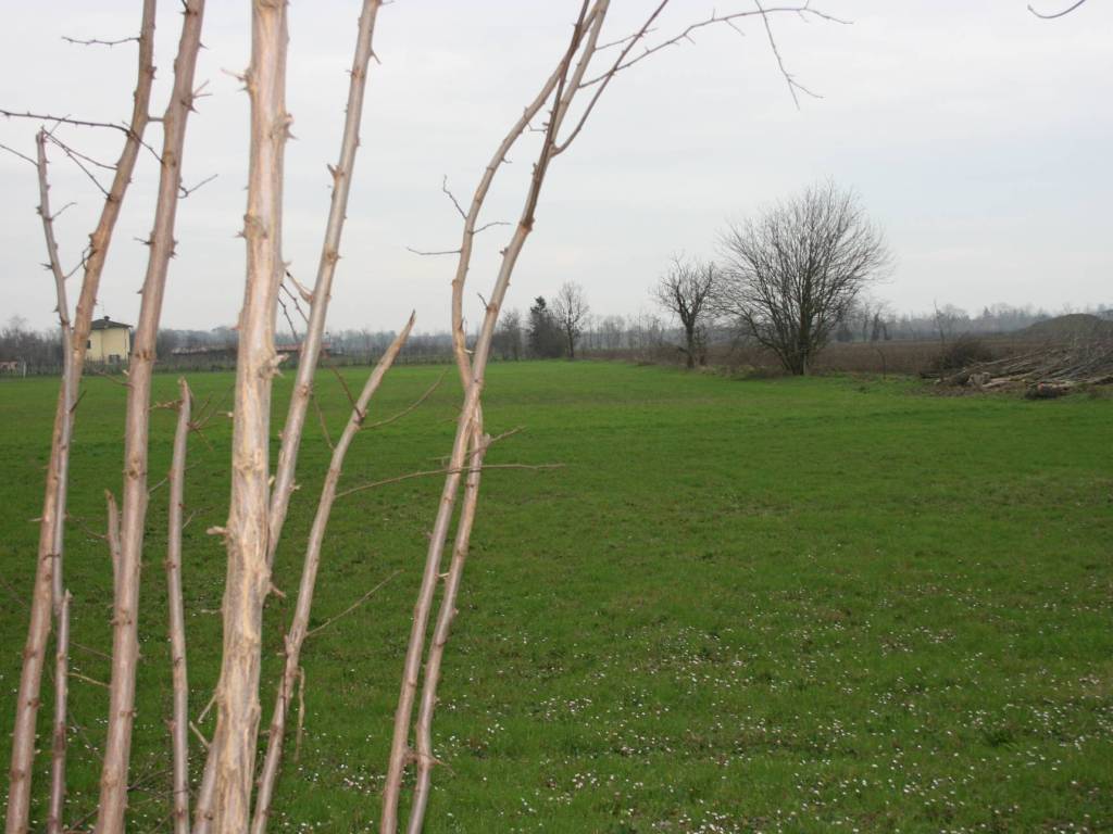 Terreno a Podenzano - Foto 4