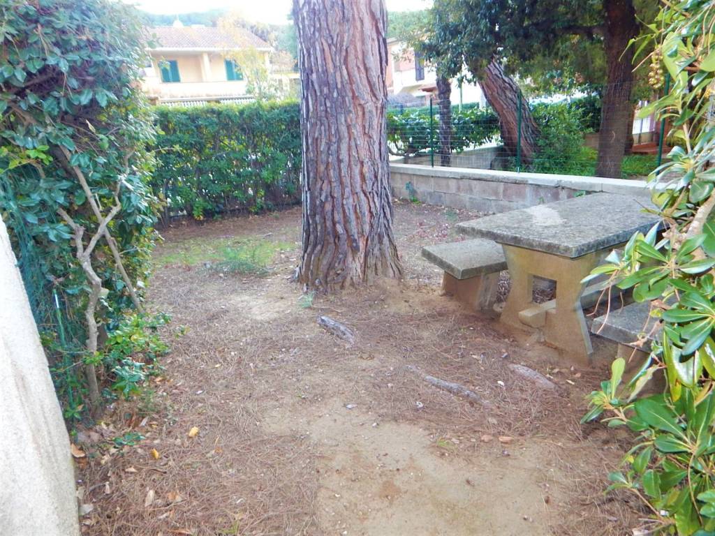 Casa indipendente a Castagneto carducci in Via Silvio Pellico, 15 - Foto 5
