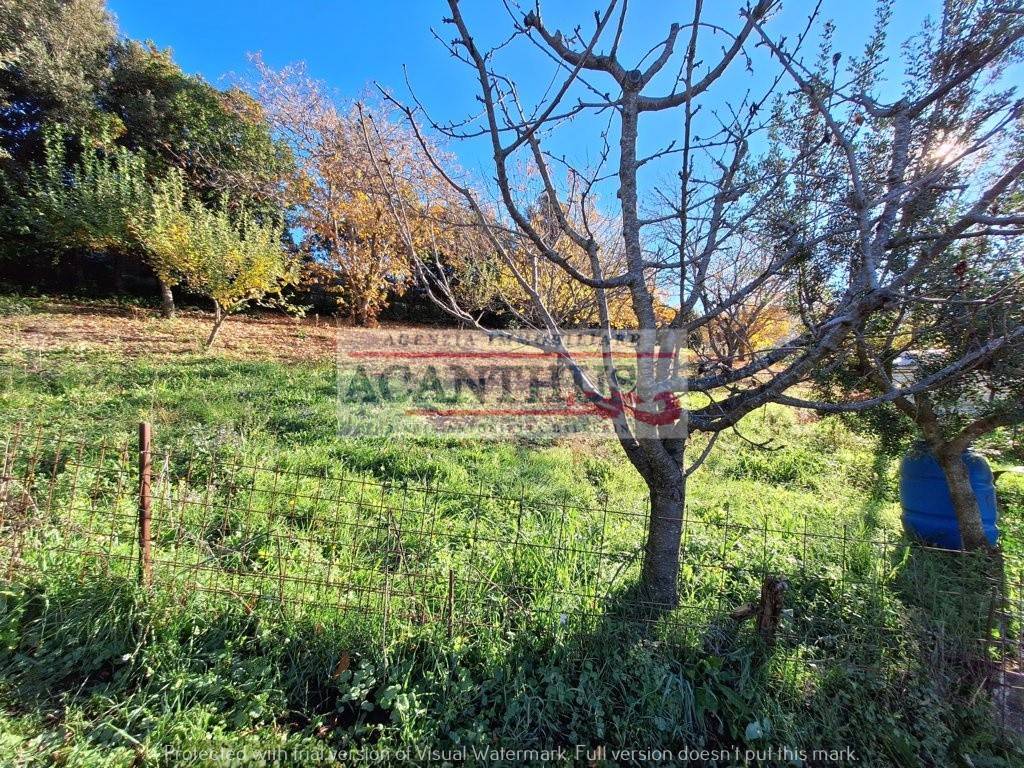 Terreno a Cori in Strada della Selva - Foto 2