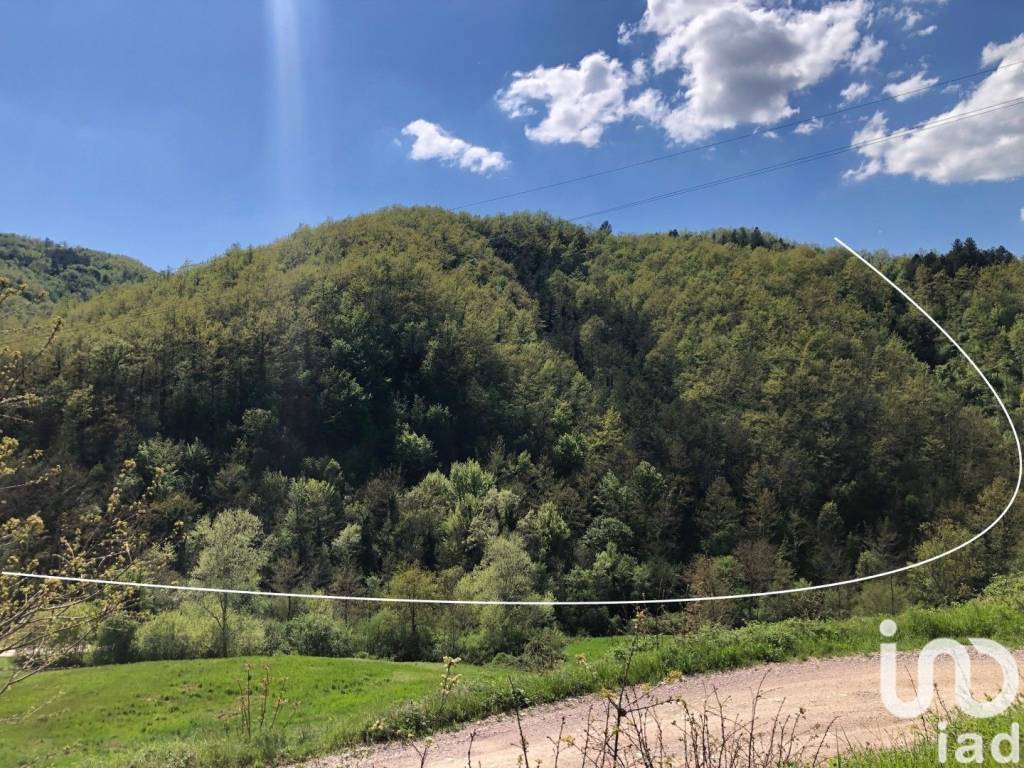 Terreno a Pietralunga - Foto 2