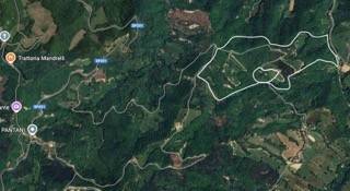 Terreno a Pietralunga - Foto 3