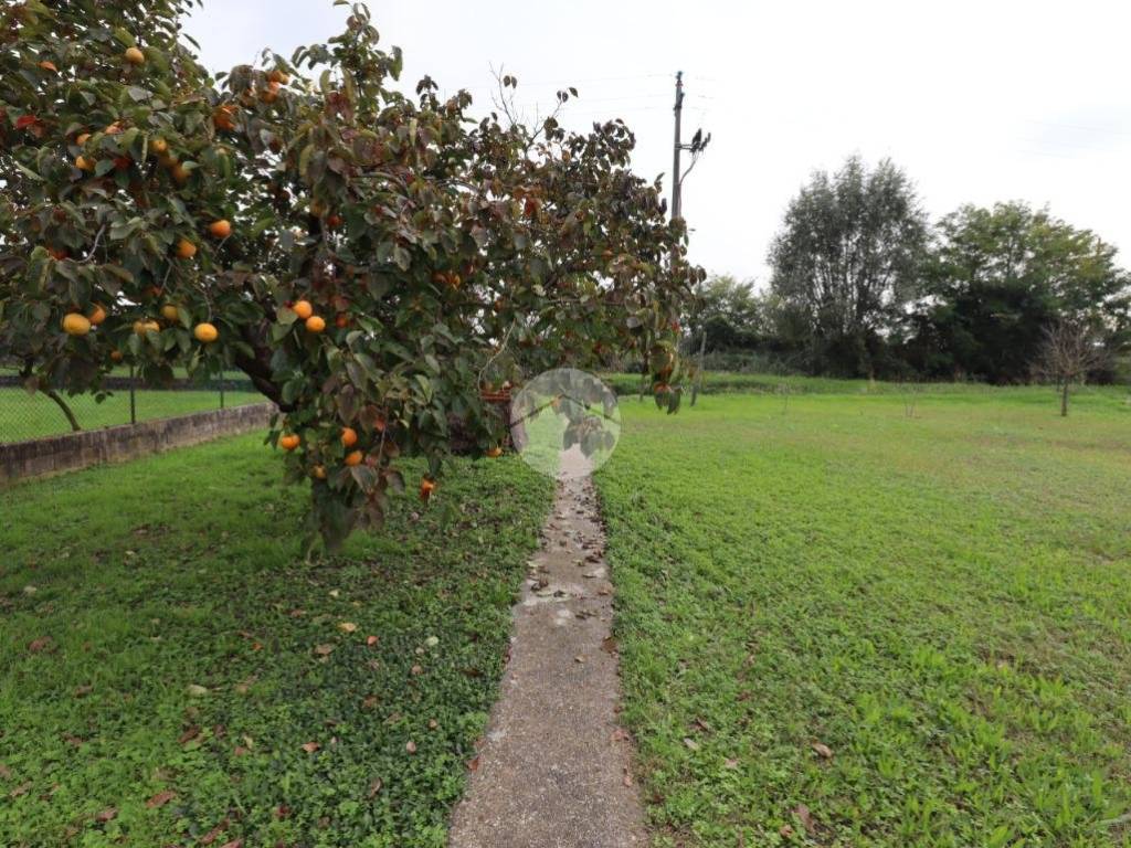 Terreno a San giorgio bigarello in VIA DI VITTORIO - Foto 3