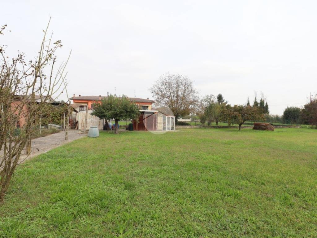Terreno a San giorgio bigarello in VIA DI VITTORIO - Foto 5