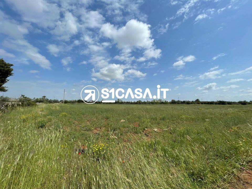 Terreno a Galatone in Via San Giuseppe da Copertino - Foto 2