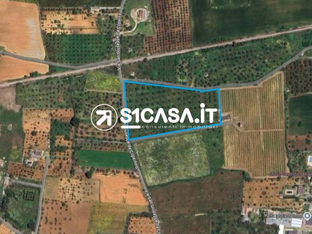 Terreno a Galatone in Via San Giuseppe da Copertino - Foto 5