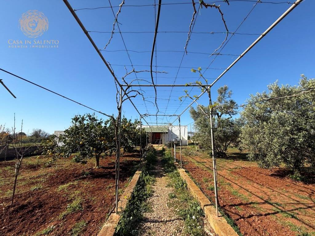 Villa a Salve in SP91 - Foto 4