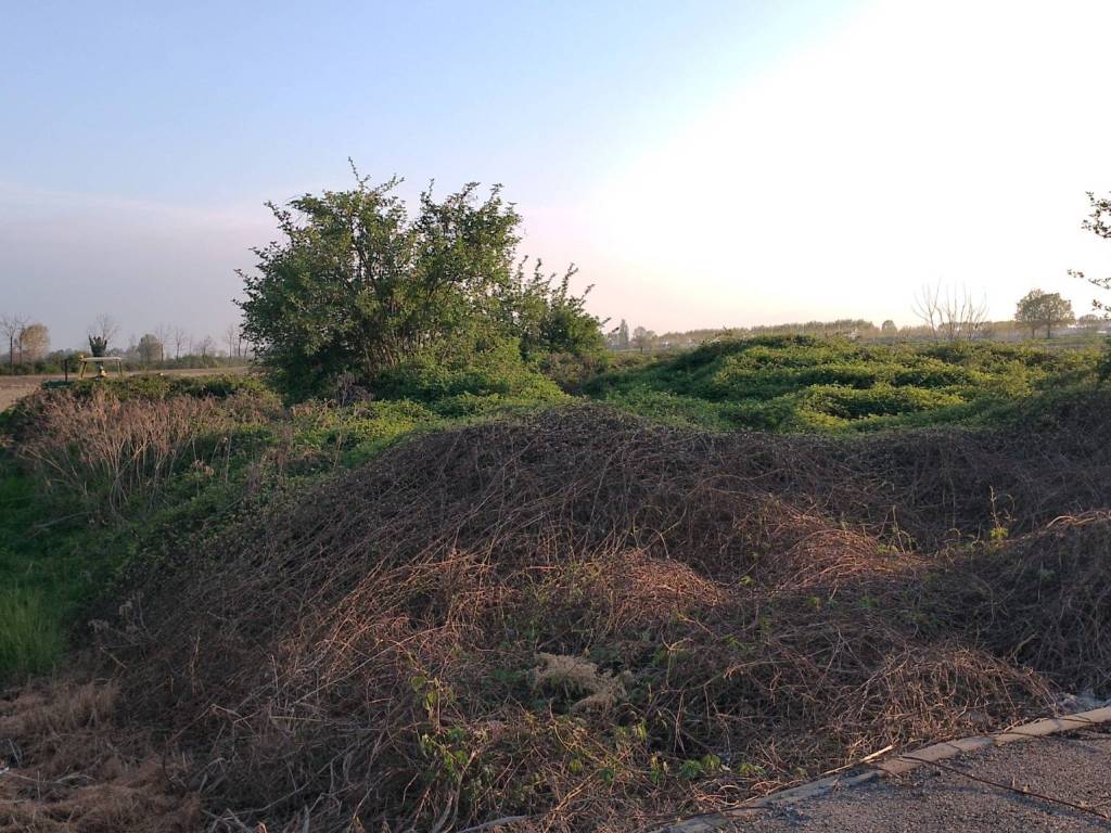 Terreno a Casalgrasso in Via Europa - Foto 2