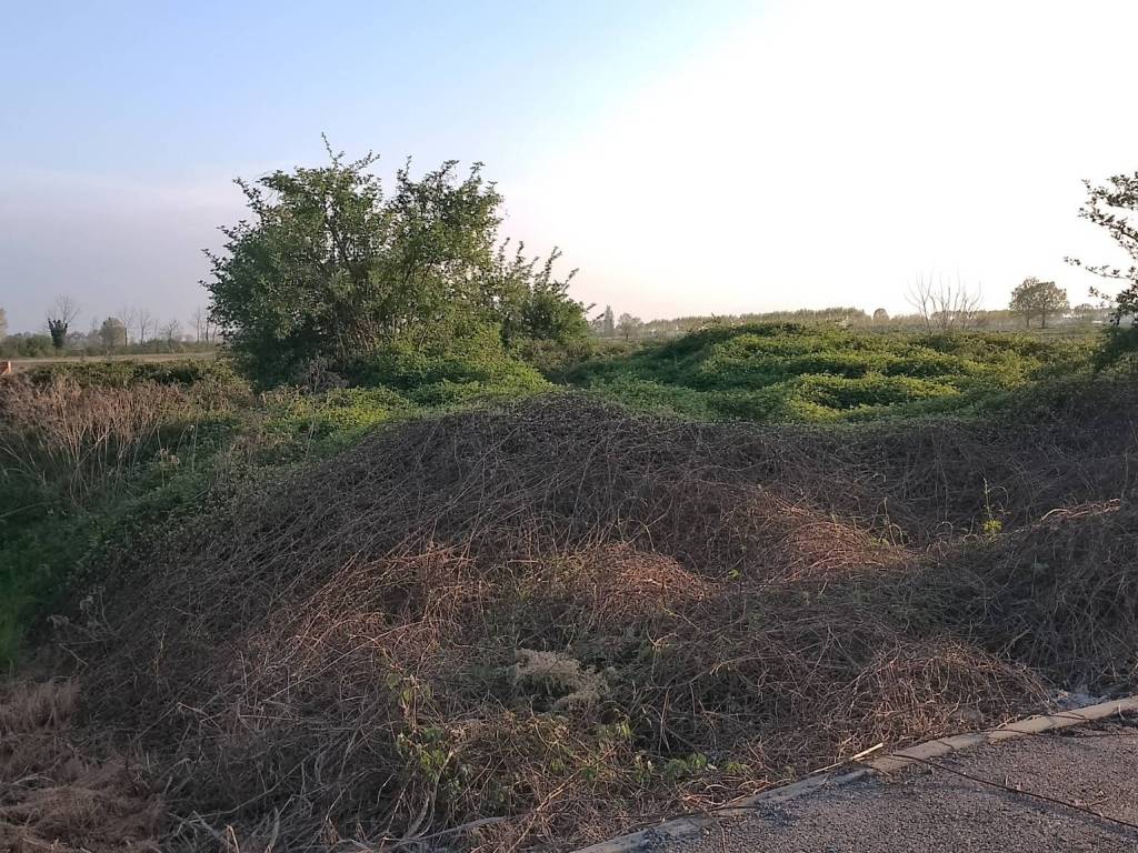 Terreno a Casalgrasso in Via Europa - Foto 3