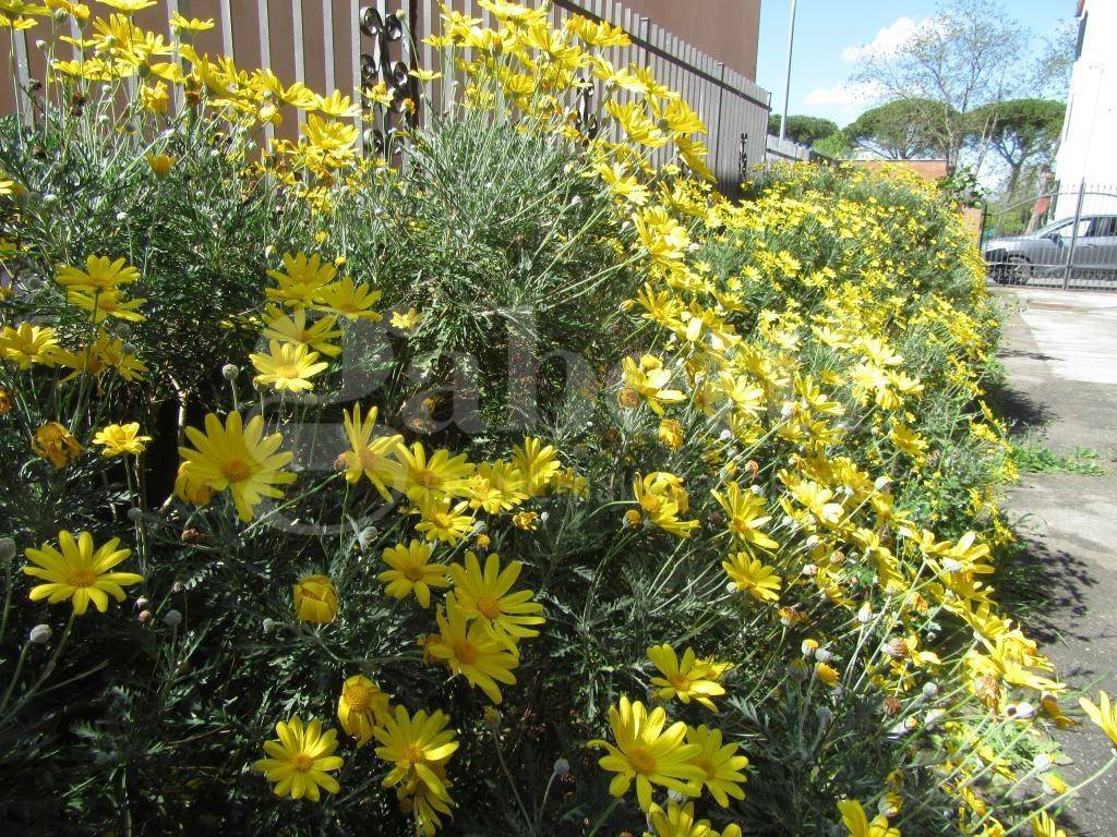 Villa a Roccastrada - Foto 4