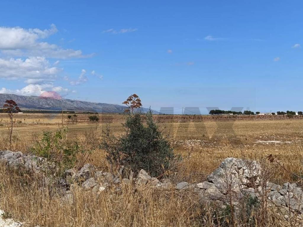 Terreno a San giovanni rotondo in Contrada Signoritto - Foto 2