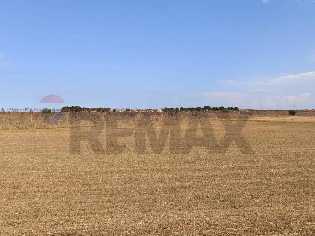 Terreno a San giovanni rotondo in Contrada Signoritto - Foto 3