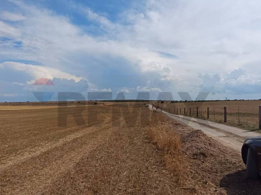 Terreno a San giovanni rotondo in Contrada Signoritto - Foto 4