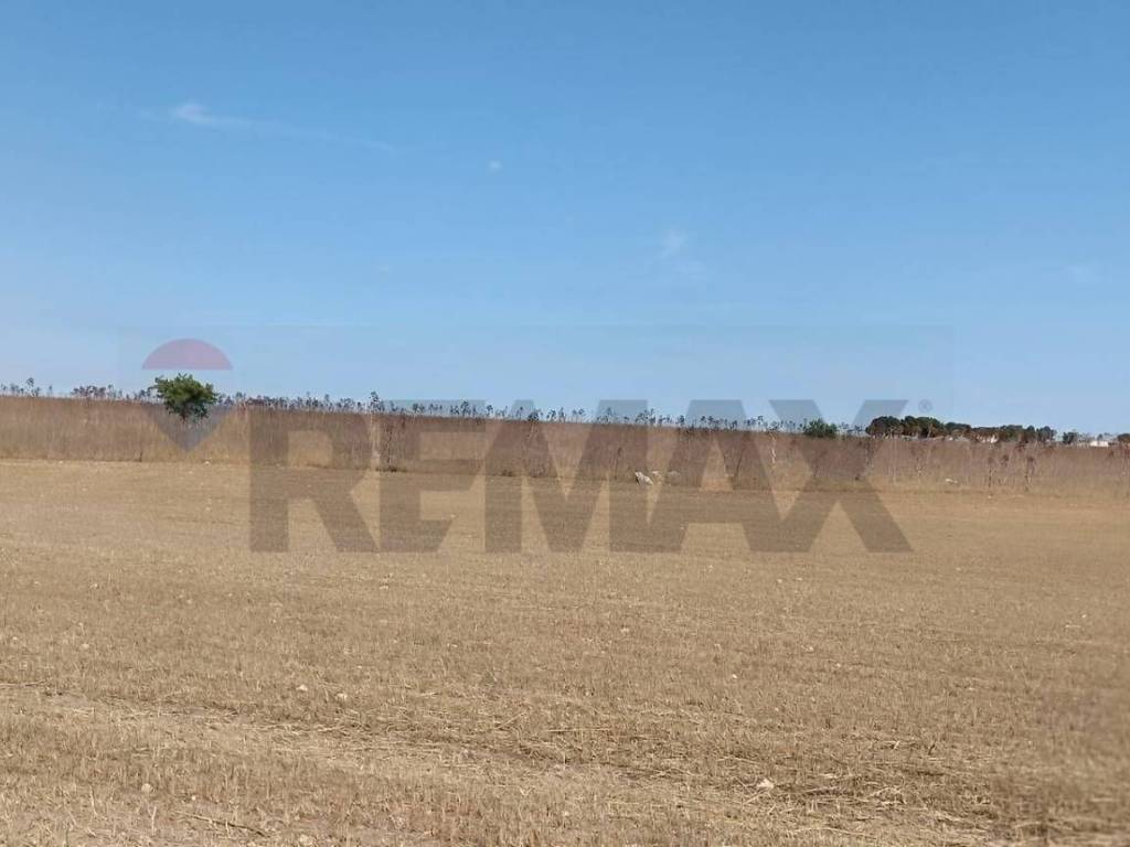 Terreno a San giovanni rotondo in Contrada Signoritto - Foto 5