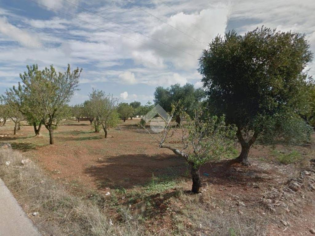 Terreno a Carovigno in Contrada Belvedere - Foto 3