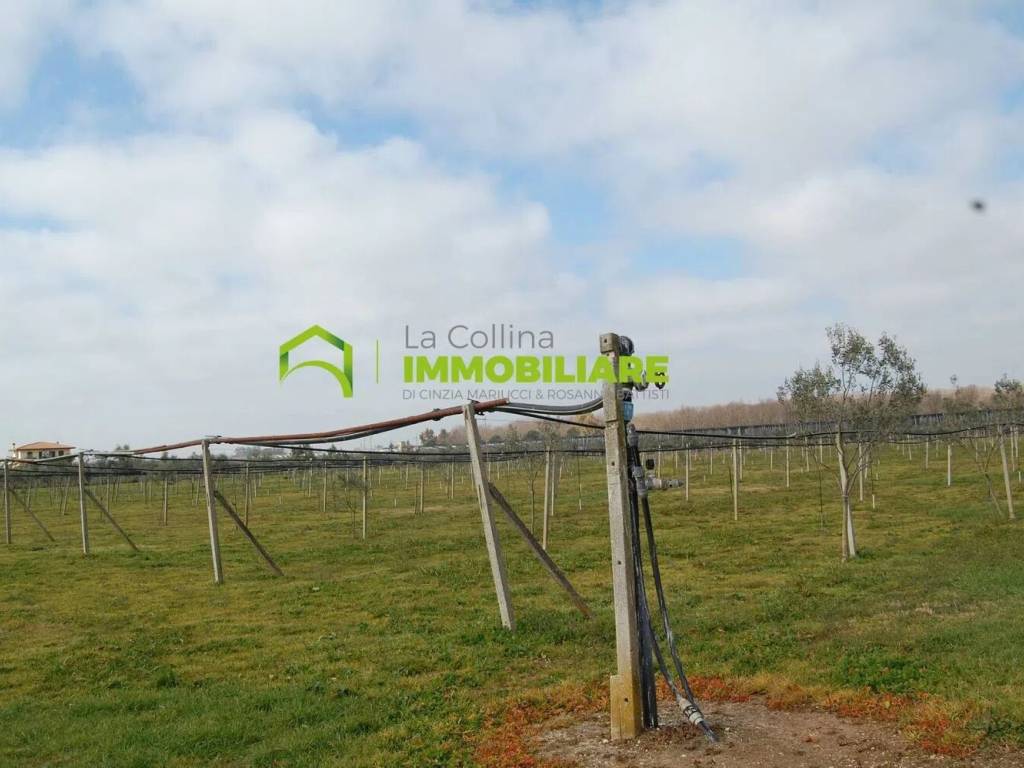 Terreno a Cisterna di latina in Via Della Gazza, 10 - Foto 4